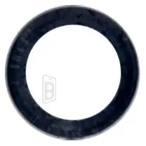 Back Camera Lens (Glass Only) Compatible For iPad 2