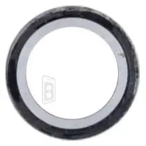 Back Camera Lens (Glass Only) Compatible For iPad 4